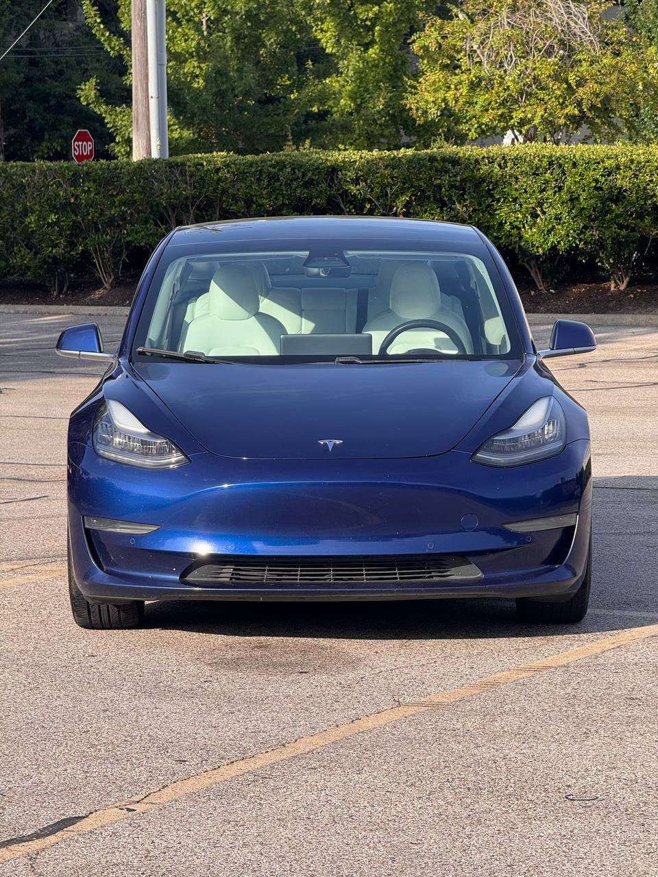 
								Tesla Model 3 Standart Range RWD full									